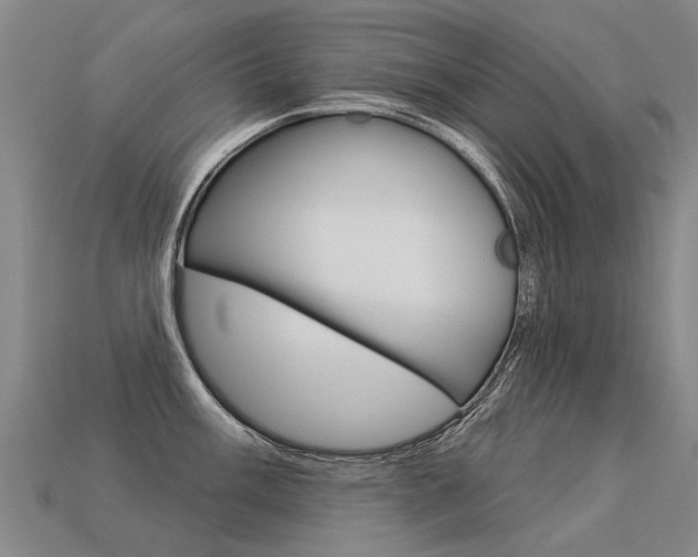 X0000113551003200909180955