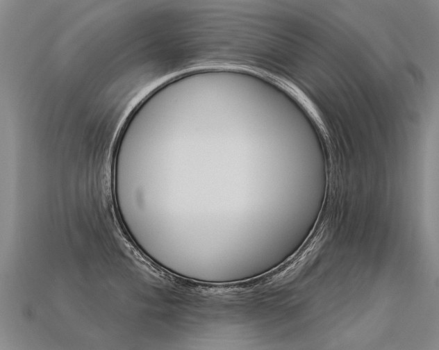 X0000113551004200909180955