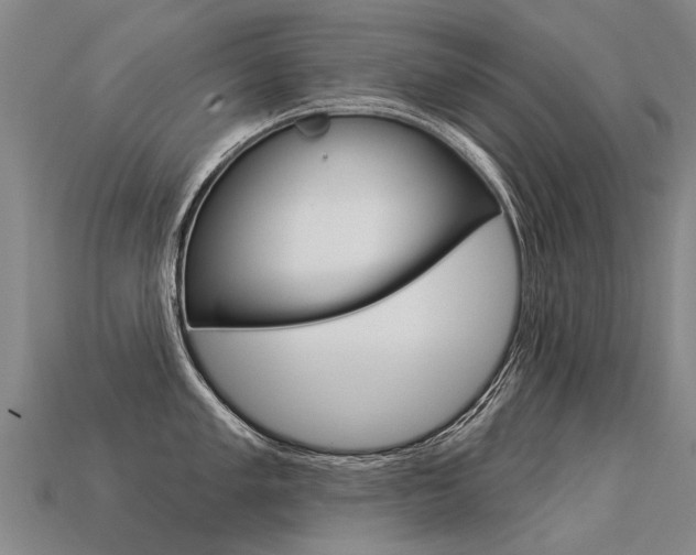 X0000113551005200909180955