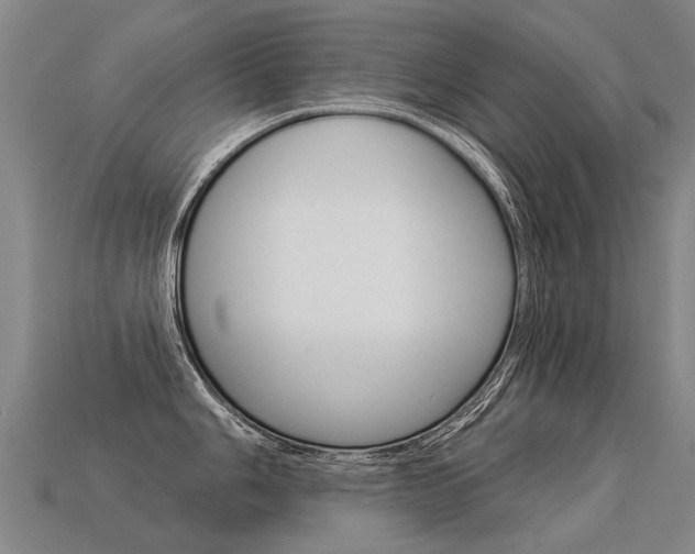 X0000113551006200909180955