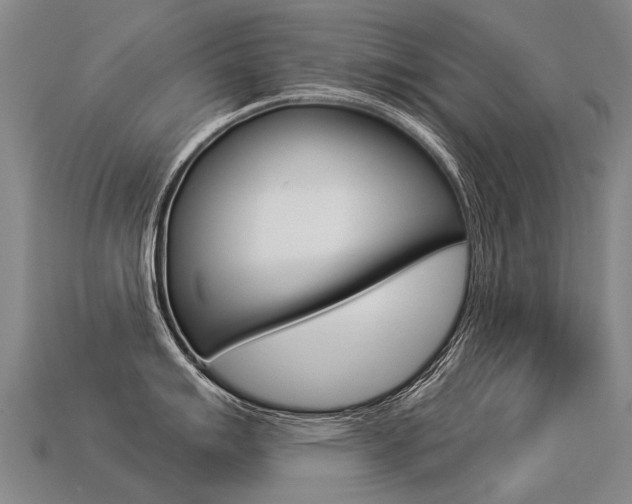 X0000113551007200909180955