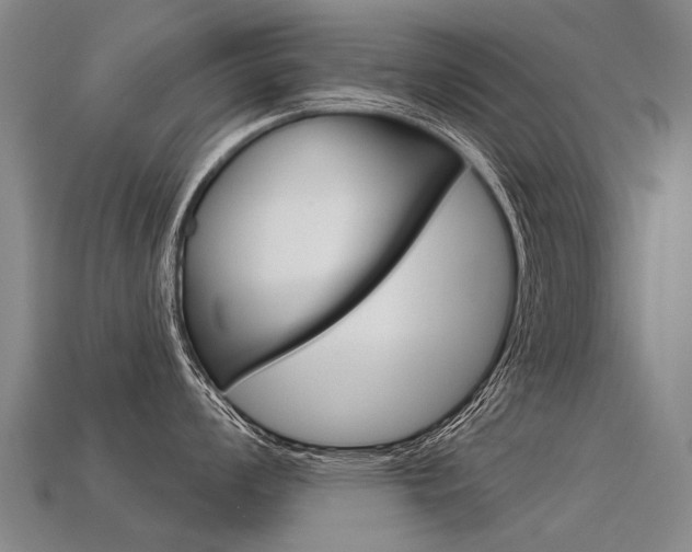X0000113551008200909180955
