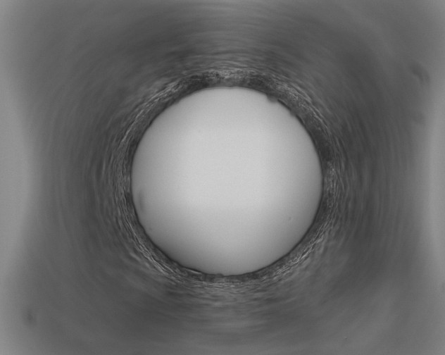 X0000113551009200909180955