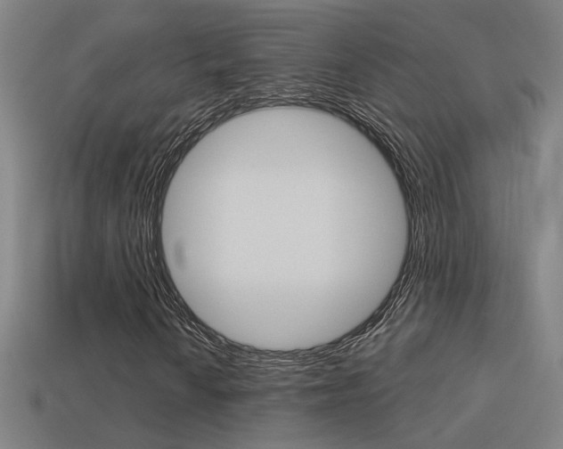 X0000113551010200909180955