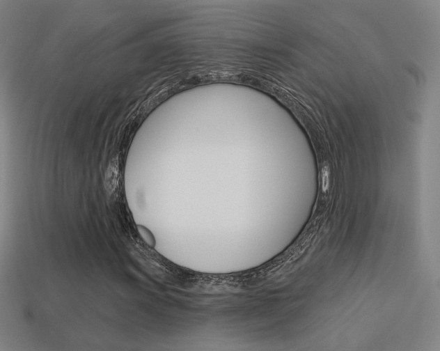 X0000113551011200909180955