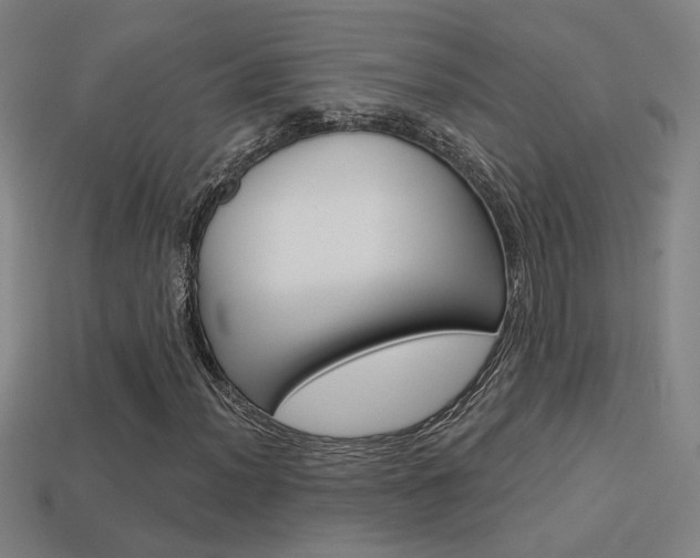 X0000113551012200909180955