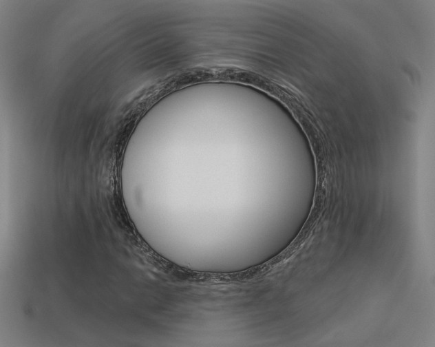 X0000113551014200909180955