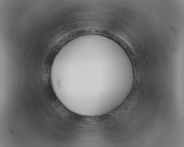 X0000113551015200909180955