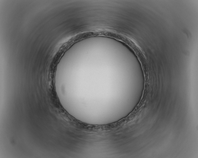 X0000113551016200909180955