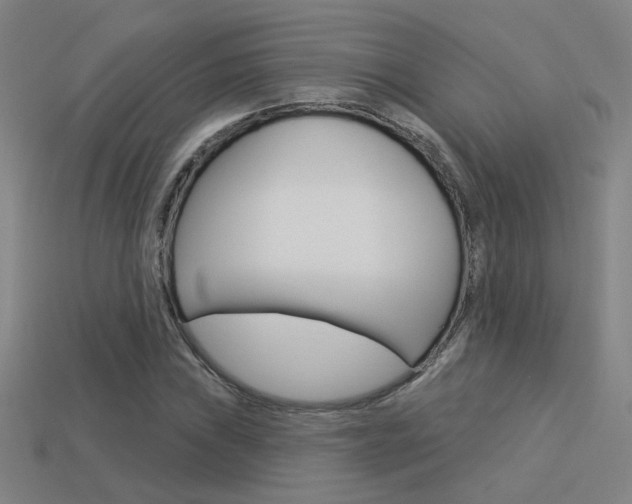 X0000113551019200909180955