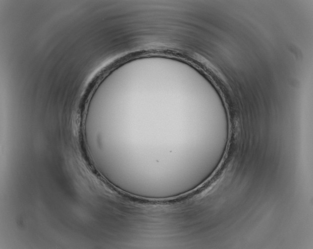 X0000113551021200909180955