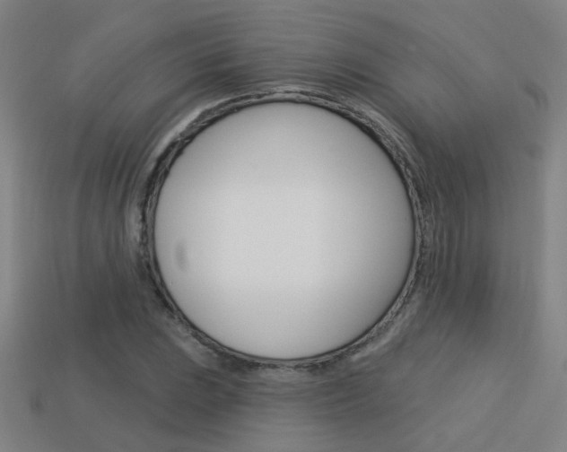 X0000113551023200909180955