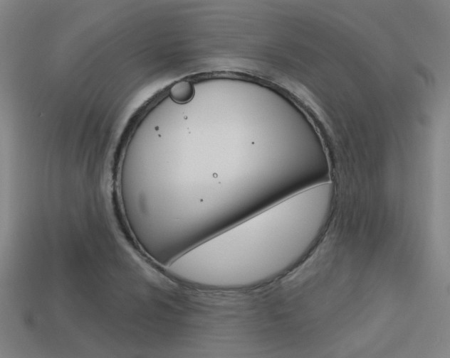 X0000113551024200909180955