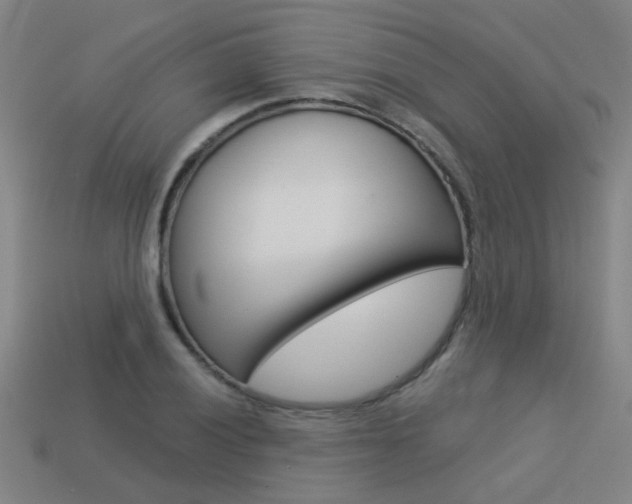 X0000113551028200909180955