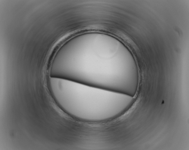 X0000113551029200909180955