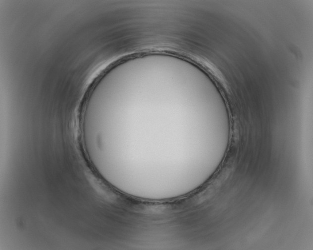 X0000113551031200909180955