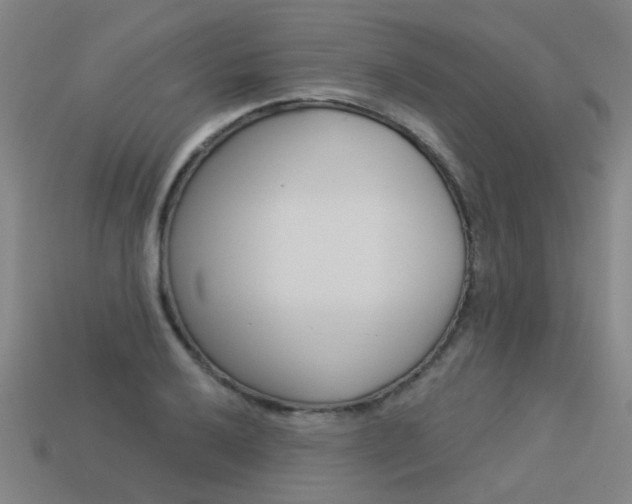 X0000113551032200909180955