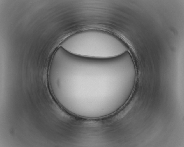 X0000113551033200909180955