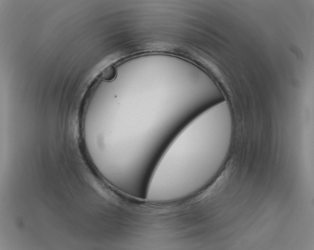 X0000113551034200909180955