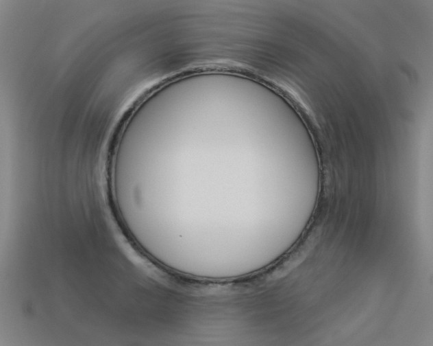 X0000113551038200909180955