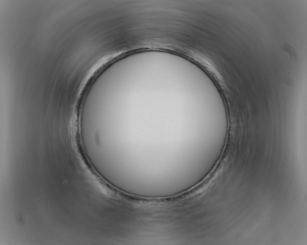X0000113551040200909180955