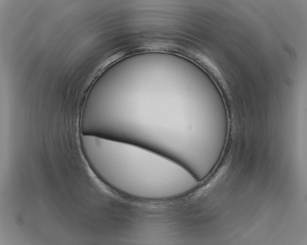 X0000113551041200909180955