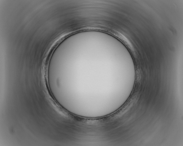 X0000113551043200909180955