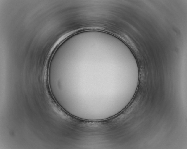 X0000113551044200909180955