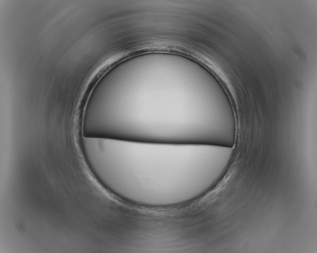 X0000113551045200909180955