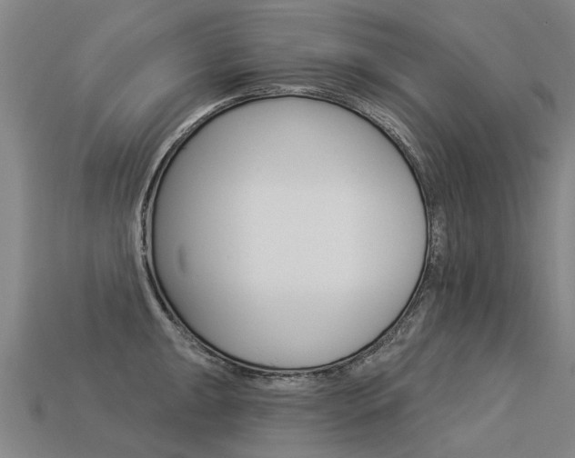 X0000113551047200909180955