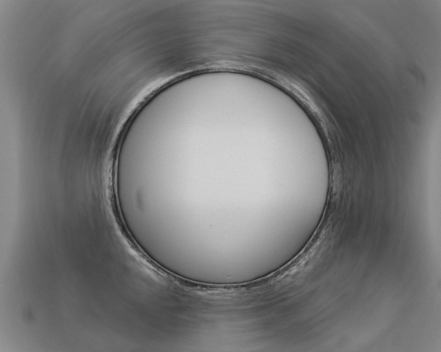 X0000113551048200909180955