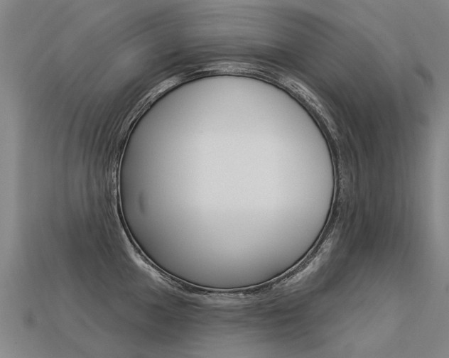 X0000113551049200909180955