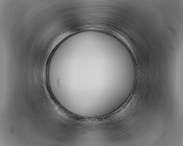 X0000113551050200909180955