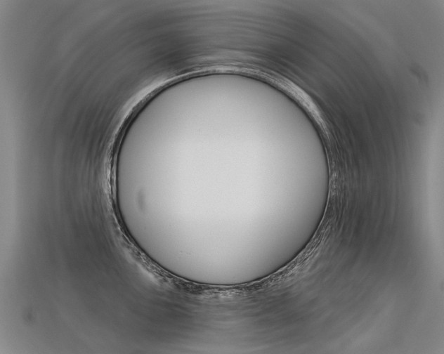 X0000113551051200909180955