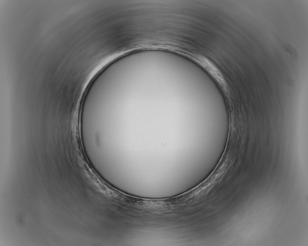 X0000113551052200909180955