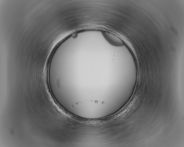 X0000113551053200909180955