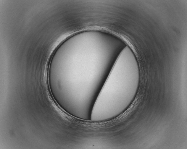 X0000113551054200909180955