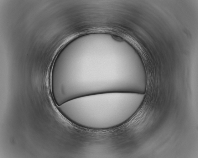 X0000113551055200909180955