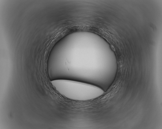 X0000113551057200909180954