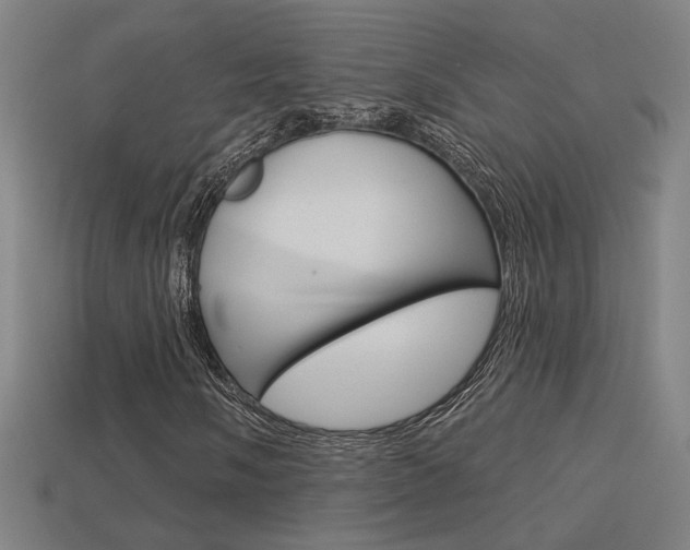 X0000113551058200909180954