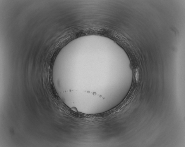 X0000113551059200909180954