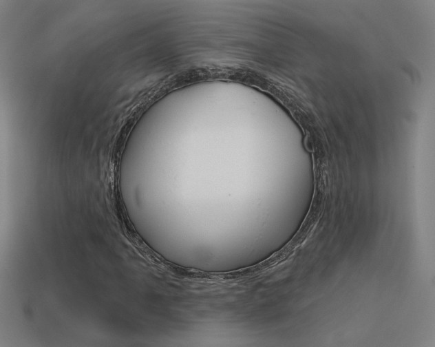 X0000113551061200909180954