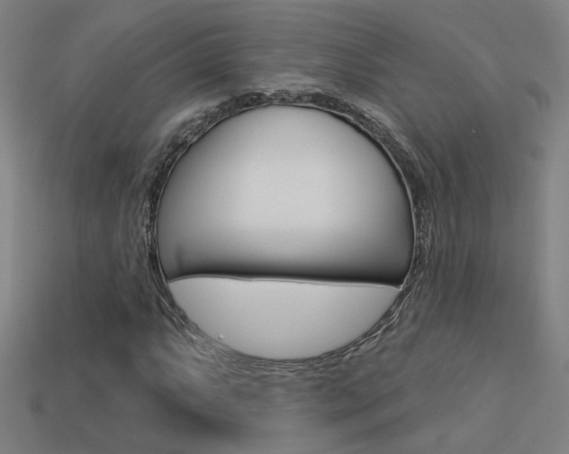 X0000113551063200909180954