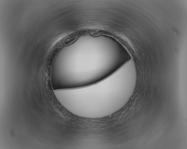 X0000113551064200909180954