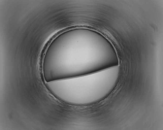 X0000113551068200909180954