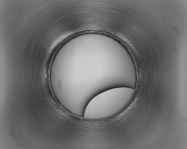 X0000113551070200909180954