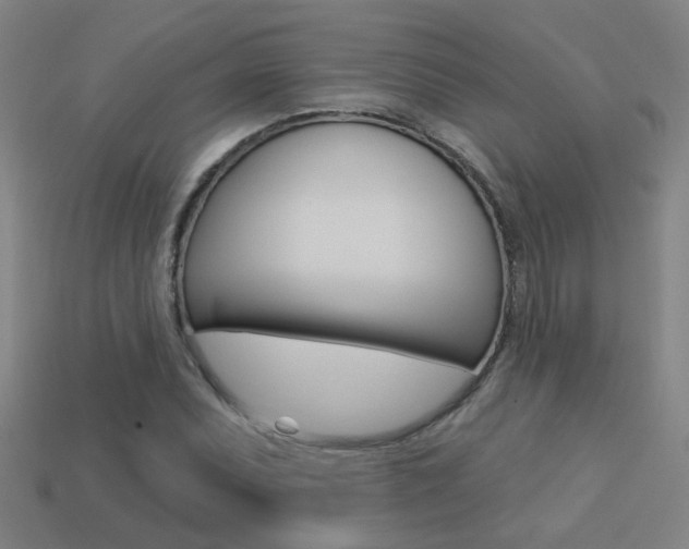 X0000113551071200909180954