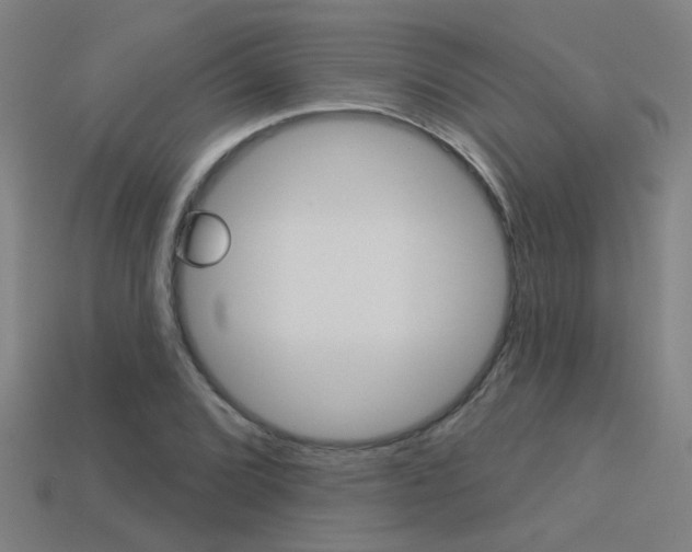 X0000113551072200909180954