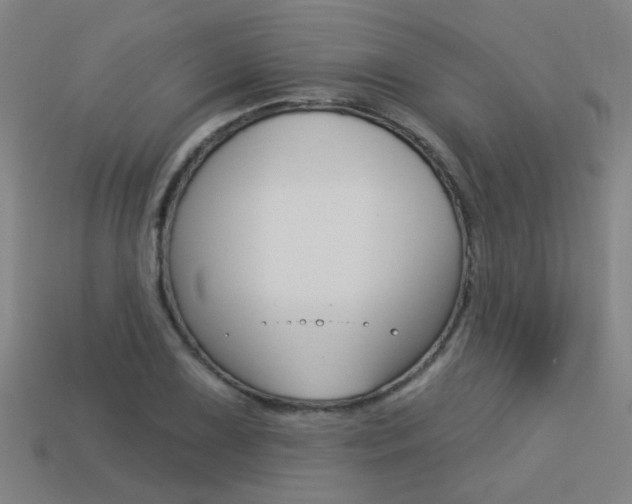 X0000113551075200909180954