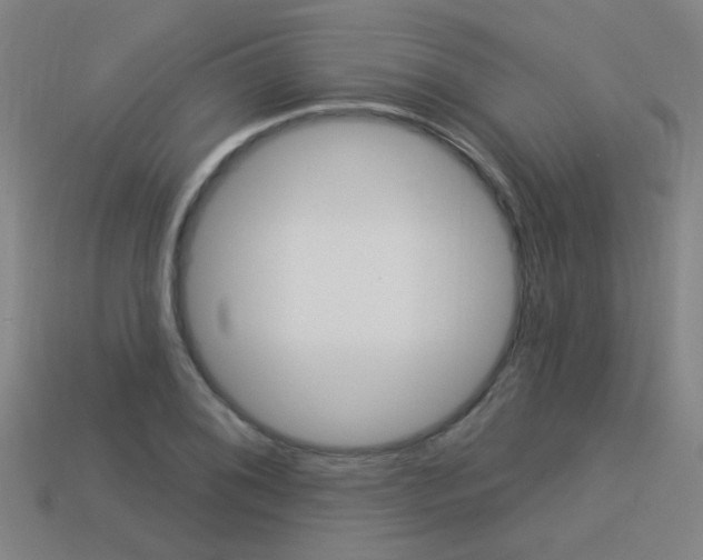 X0000113551076200909180954